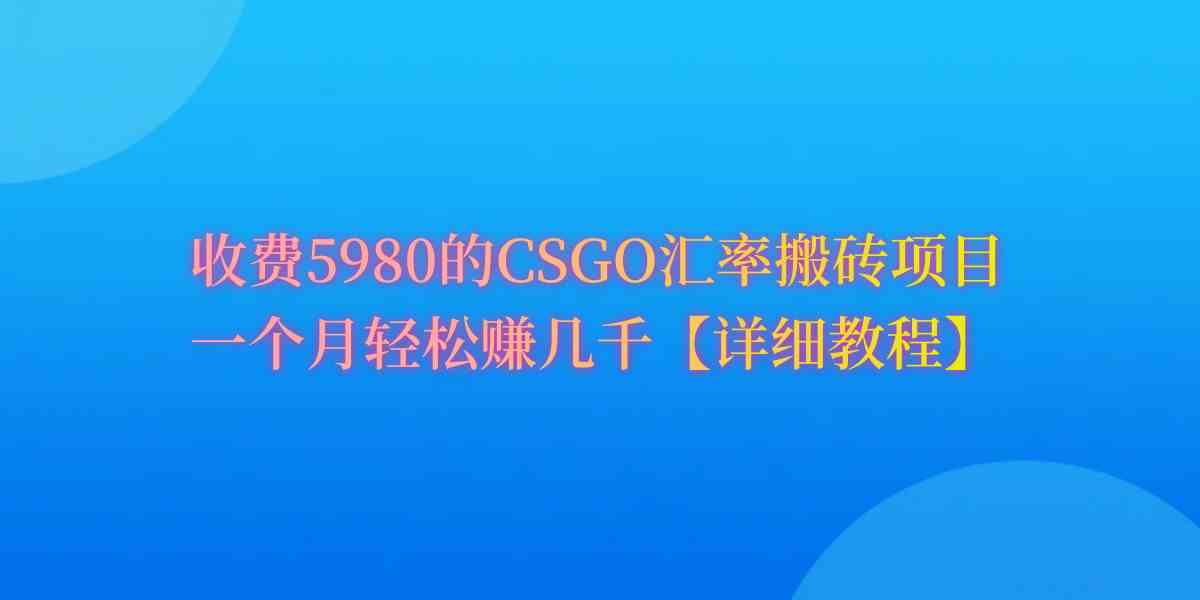 （9776期）CSGO装备搬砖，月综合收益率高达60%，你也可以！-牛马集中营