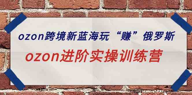 （9800期）ozon跨境新蓝海玩“赚”俄罗斯，ozon进阶实操训练营-牛马集中营