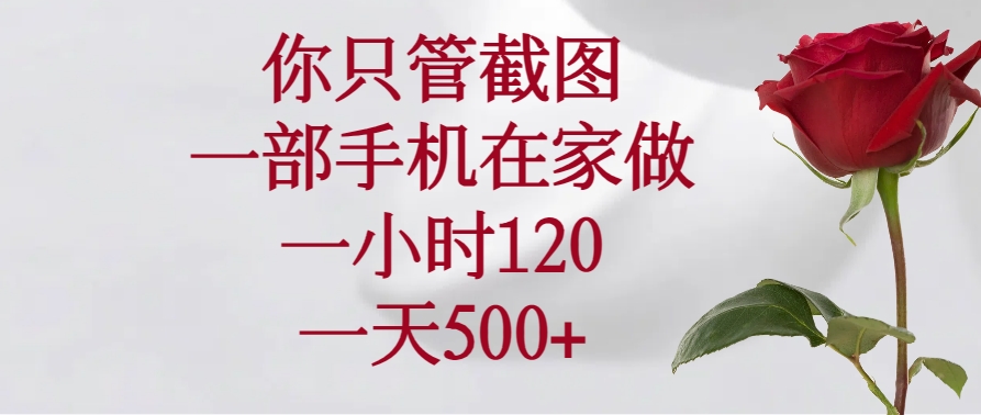 （14248期）你只管截图，一部手机在家做，一小时120，一天500+-牛马集中营