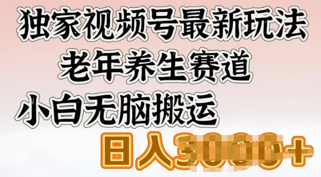 独家视频号最新玩法，老年养生赛道，小白无脑搬运，日入多张-牛马集中营