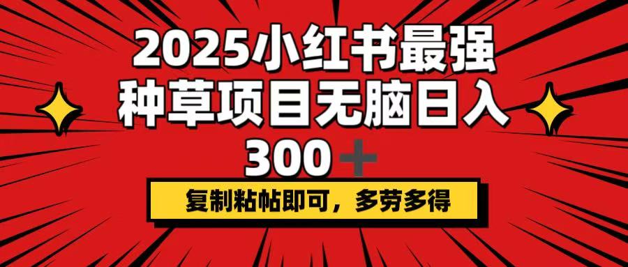 （14375期）2025小红书最强种草项目，无脑日入300+，复制粘帖即可，多劳多得-牛马集中营