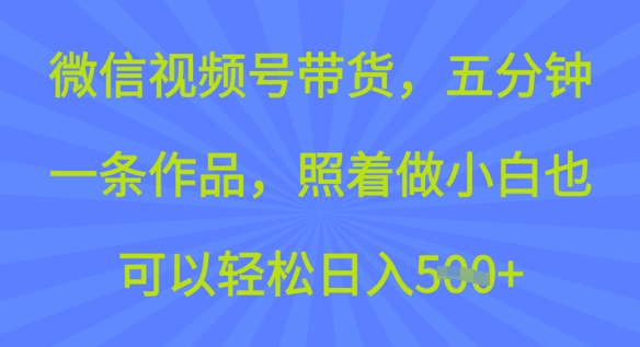 微信视频号带货，五分钟一条作品，照着做小白也可以轻松日入5张-牛马集中营