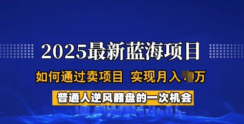2025蓝海项目，普通人如何通过卖项目，实现月入过W，全过程【揭秘】-牛马集中营