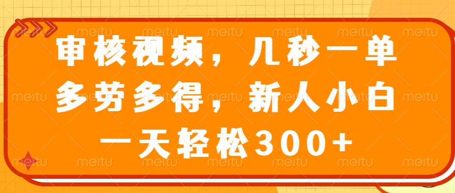 （14294期）审核视频，几秒一单，多劳多得，新人小白一天轻松300+-牛马集中营