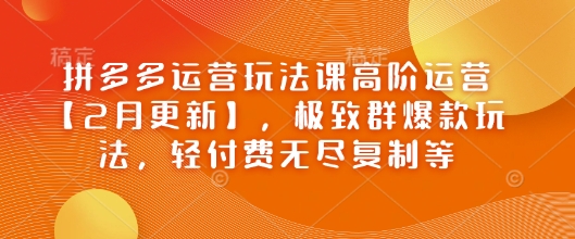 拼多多运营玩法课高阶运营【2月更新】，极致群爆款玩法，轻付费无尽复制等-牛马集中营
