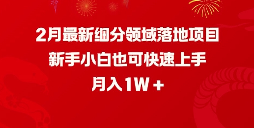 2月最新细分领域落地项目，新手小白也可快速上手，月入1W-牛马集中营
