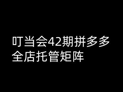 叮当会拼多多打爆班原创高阶技术第42期，拼多多全店托管矩阵-牛马集中营
